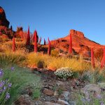 El turismo en Tenerife en constante crecimiento